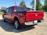 New 2025 Ford F150 XLT image 4