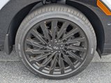 New 2025 Hyundai Santa Fe Calligraphy image 6