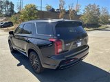 New 2025 Hyundai Palisade Calligraphy image 3