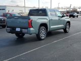 New 2025 Toyota Tundra 1794 Edition image 2