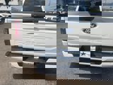 New 2025 Ford F150 STX image 5