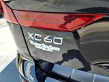 New 2026 Volvo XC60 B5 Plus w/ Protection Package Premier image 5