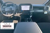New 2025 Ford F150 STX w/ Equipment Group 201A FX4 image 5