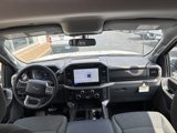 New 2025 Ford F150 XLT w/ Equipment Group 302A MID image 2