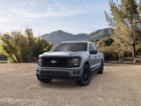 New 2025 Ford F150 STX w/ STX Black Appearance Package image 2