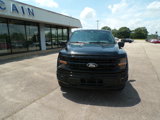 Used 2024 Ford F150 XLT w/ Equipment Group 303A High image 2