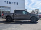 New 2025 Ford F150 STX w/ Equipment Group 201A FX4 image 2