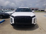 New 2025 Hyundai Palisade Calligraphy image 2
