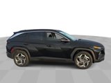 Used 2022 Hyundai Tucson Limited image 2