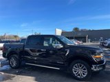 New 2025 Ford F150 XLT w/ Equipment Group 303A High image 2
