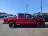 New 2025 Ford F150 XLT w/ Equipment Group 303A High image 5
