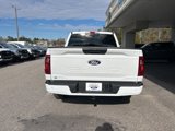 New 2025 Ford F150 STX w/ Equipment Group 200A image 6