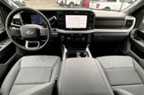 New 2025 Ford F250 4x4 Crew Cab Super Duty image 5