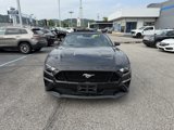 Used 2022 Ford Mustang GT image 4