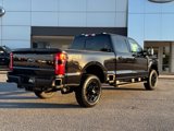 New 2025 Ford F250 XL image 3