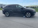 Used 2023 Hyundai Tucson Limited image 2