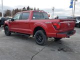 New 2025 Ford F150 XLT w/ Equipment Group 302A MID image 4