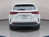 New 2025 Lexus NX 350 AWD w/ Luxury Package image 6