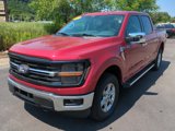 Used 2025 Ford F150 XLT w/ Equipment Group 302A MID image 4