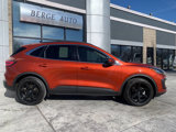 Used 2020 Ford Escape Titanium image 6