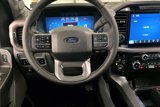 New 2025 Ford F150 XLT w/ Equipment Group 303A High image 5