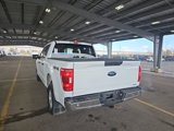 Used 2023 Ford F150 XLT image 4