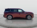 New 2025 INFINITI QX80 Luxe image 3
