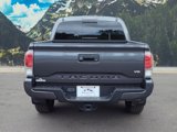 Certified 2021 Toyota Tacoma TRD Sport w/ TRD Premium Sport Package image 5