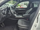 New 2025 Alfa Romeo Stelvio Sprint w/ Convenience Package image 3