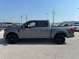 Used 2024 Ford F150 XLT w/ Equipment Group 302A MID image 2