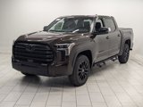 New 2025 Toyota Tundra SR5 image 4