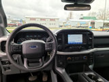 Used 2022 Ford F150 XLT image 6