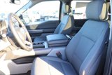 New 2025 Ford F150 XLT w/ Equipment Group 303A High image 2