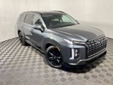 New 2025 Hyundai Palisade XRT image 5