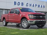 New 2025 Ford F150 XLT w/ Equipment Group 303A High image 2