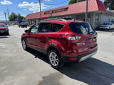 Used 2017 Ford Escape SE w/ Equipment Group 201A image 4