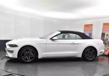 Used 2023 Ford Mustang Premium image 5