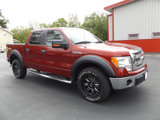 Used 2013 Ford F150 XLT w/ Luxury Equipment Group image 5