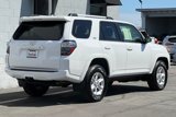 Used 2024 Toyota 4Runner SR5 image 4