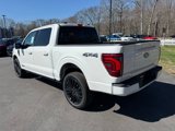 New 2025 Ford F150 Platinum w/ Equipment Group 702A High image 4