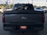 New 2025 Ford F150 STX w/ Equipment Group 200A image 5