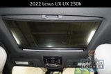 Used 2022 Lexus UX 250h w/ Premium Package image 3