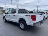 Used 2023 Ford F150 XLT image 5