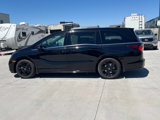 Used 2024 Honda Odyssey Sport image 6