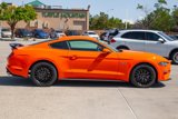 Used 2020 Ford Mustang GT w/ Equipment Group 301A image 4