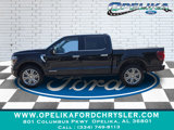 New 2025 Ford F150 Platinum image 6