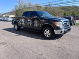 Used 2014 Ford F150 STX image 3