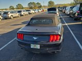 Used 2023 Ford Mustang Premium image 6
