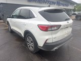 Used 2021 Ford Escape SEL image 3
