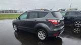 Used 2017 Ford Escape SE w/ Equipment Group 201A image 2